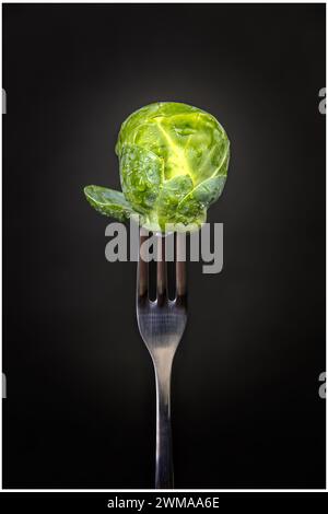 Frischer Rosenkohl auf einer Gabel, Details und Nahaufnahme Stockfoto
