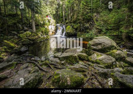 Kroi-Woog-Gumpen, mit Moos, Felsen und Wald, Hotzenwald, Schwarzwald, Baden-Württemberg, Deutschland Stockfoto