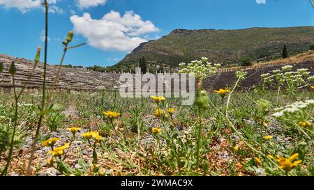 Ein altes Amphitheater mit einer Vielzahl von wilden Wiesenblumen im Vordergrund, Stadion, archäologische Stätte, das antike Messene, die Hauptstadt von Messinia Stockfoto