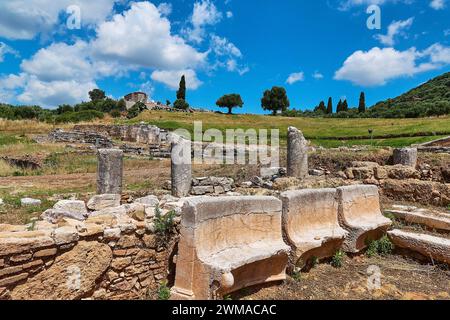 Überreste einer antiken Ruine mit Säulenfragmenten in einer grünen Landschaft, archäologische Stätte, altes Messene, Hauptstadt von Messinien, Messini Stockfoto