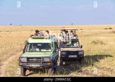 Touristen in Safariautos beobachten und fotografieren die Tierwelt in der Savanne, Maasai Mara, Kenia Stockfoto
