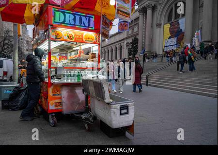 Halal Street Food Verkäufer vor dem MET Museum of Art Fifth Avenue NY Stockfoto