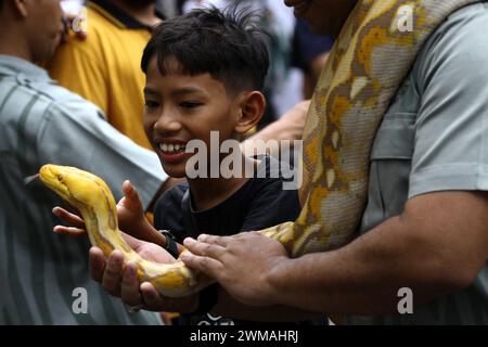 25. Februar 2024, Yogyakarta, Spezialregion Yogyakarta, Indonesien: Ein Kind interagiert mit einer burmesischen Python (Python bivittatus) während des Tierkarnevals im Gembira Loka Zoo, Yogyakarta. Der Karneval ist nicht nur ein Mittel der Unterhaltung, sondern auch ein fest, das die Botschaft der Erhaltung und Harmonie zwischen Mensch und Tier betont. (Kreditbild: © Angga Budhiyanto/ZUMA Press Wire) NUR REDAKTIONELLE VERWENDUNG! Nicht für kommerzielle ZWECKE! Stockfoto