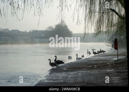 Windsor, Berkshire, Großbritannien. Februar 2024. Nebel an der Themse. Heute war es ein nebeliger Morgen in Windsor, Berkshire, aber der Sonnenschein verbrannte schnell den Nebel und Nebel. Quelle: Maureen McLean/Alamy Live News Stockfoto