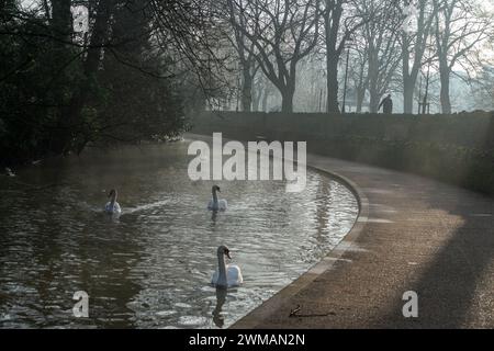 Windsor, Berkshire, Großbritannien. Februar 2024. Nebel an der Themse. Heute war es ein nebeliger Morgen in Windsor, Berkshire, aber der Sonnenschein verbrannte schnell den Nebel und Nebel. Quelle: Maureen McLean/Alamy Live News Stockfoto