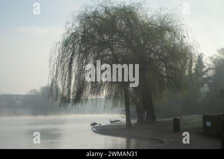 Windsor, Berkshire, Großbritannien. Februar 2024. Nebel an der Themse. Heute war es ein nebeliger Morgen in Windsor, Berkshire, aber der Sonnenschein verbrannte schnell den Nebel und Nebel. Quelle: Maureen McLean/Alamy Live News Stockfoto