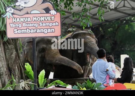 25. Februar 2024, Yogyakarta, Spezialregion Yogyakarta, Indonesien: Im Gembira Loka Zoo in Yogyakarta sehen die Menschen den Sumatra-Elefanten (Elephas maximus sumatrensis). (Kreditbild: © Angga Budhiyanto/ZUMA Press Wire) NUR REDAKTIONELLE VERWENDUNG! Nicht für kommerzielle ZWECKE! Stockfoto