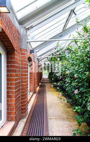 Das Innere des Tropical Ravine, ein im 19. Jahrhundert mit exotischen und gemäßigten Pflanzen gestaltetes Gewächshaus im Botanischen Garten in der Nähe des Ulster Museums in Belfast Stockfoto