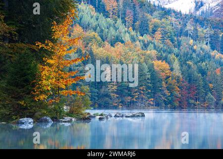 Bei Sonnenaufgang Wald in der Herbstsaison am vorderen Langbathsee. Ebensee, Oberösterreich. Europa. Stockfoto