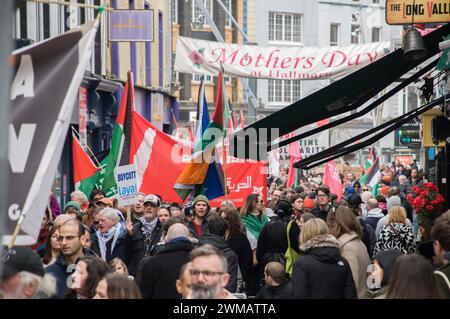 Cork City, Irland. 24. Februar 2024. In einem eindrucksvollen Akt der Solidarität hat heute eine lebendige Menge von Demonstranten die Straßen von Cork gefüllt und gemeinsam für das palästinensische Volk in einer einmütigen Front gestanden. Kredit: Karlis Dzjamko/Alamy Live News Stockfoto