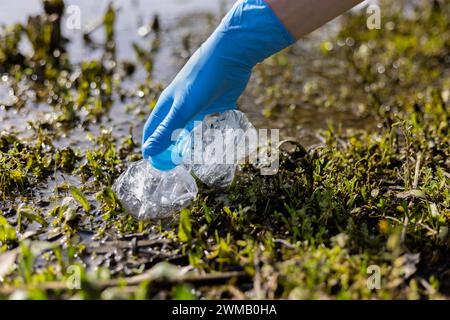 Junge Frau sammelt Plastikflaschen in einem See, in einer Recyclingkampagne. Bereinigungskonzept Stockfoto