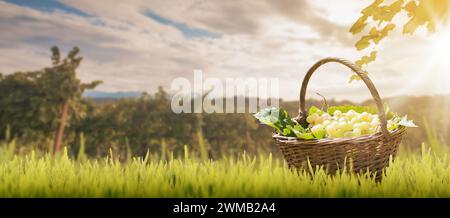 Rustikaler Korb voller reifer Trauben auf dem Gras und Blick auf die Landschaft im Sommer Stockfoto