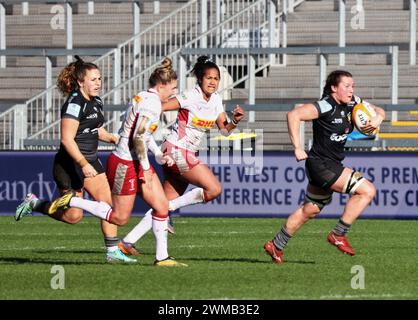 Exeter, Devon, Großbritannien. Februar 2024. Allianz Premiership Women's Rugby: Exeter Chiefs gegen Harlequins Women in Sandy Park, Exeter, Devon, Großbritannien. Abbildung: Nidpor/Alamy Live News Stockfoto