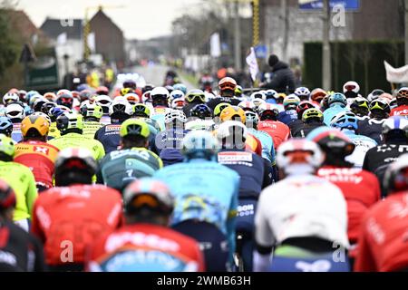 Kortrijk, Belgien. Februar 2024. Die Gruppe von Fahrern, die während des eintägigen Radrennens Kuurne-Brüssel-Kuurne, 196, 4 km von Kuurne über Brüssel nach Kuurne, Sonntag, den 25. Februar 2024, in Aktion genommen wurden. BELGA FOTO JASPER JACOBS Credit: Belga News Agency/Alamy Live News Stockfoto