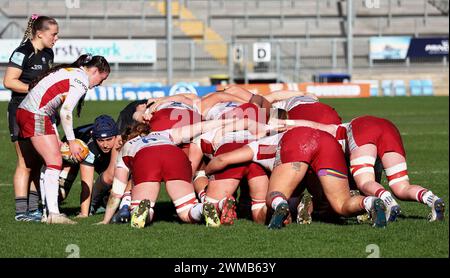 Exeter, Devon, Großbritannien. Februar 2024. Allianz Premiership Women's Rugby: Exeter Chiefs gegen Harlequins Women in Sandy Park, Exeter, Devon, Großbritannien. Im Bild: Quins Scrum Credit: Nidpor/Alamy Live News Stockfoto