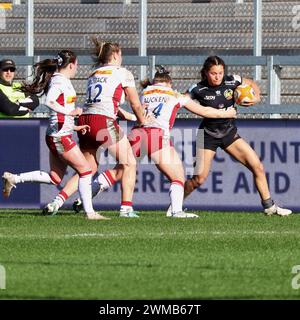 Exeter, Devon, Großbritannien. Februar 2024. Allianz Premiership Women's Rugby: Exeter Chiefs gegen Harlequins Women in Sandy Park, Exeter, Devon, Großbritannien. Abbildung: Nidpor/Alamy Live News Stockfoto