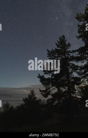 Nachtszene, Wald am Ufer des Peipussees, Sternenhimmel. Vertikales Foto. Hochwertige Fotos Stockfoto
