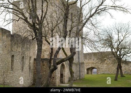 Die Heimenburg ist die Ruine einer Hochburg über der Stadt Hainburg an der Donau in Niederösterreich Stockfoto