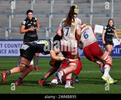 Exeter, Devon, Großbritannien. Februar 2024. Allianz Premiership Women's Rugby: Exeter Chiefs gegen Harlequins Women in Sandy Park, Exeter, Devon, Großbritannien. Abbildung: Nidpor/Alamy Live News Stockfoto