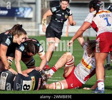 Exeter, Devon, Großbritannien. Februar 2024. Allianz Premiership Women's Rugby: Exeter Chiefs gegen Harlequins Women in Sandy Park, Exeter, Devon, Großbritannien. Abbildung: Nidpor/Alamy Live News Stockfoto