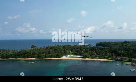 Luftaufnahme eines Falken, der an der Küste des sonnigen Sao Tome in Westafrika fliegt Stockfoto