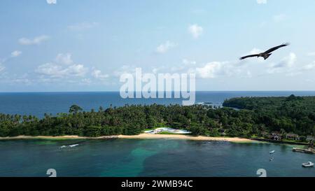 Luftaufnahme eines Falken, der an der Küste von Sao Tome in Westafrika fliegt Stockfoto