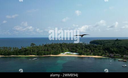 Luftaufnahme eines Falken, der an der Küste des sonnigen Sao Tome in Westafrika fliegt Stockfoto