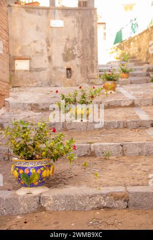 Pflanzen Sie Töpfe in einer Reihe auf einer Treppe in Cefalu, Palermo, Sizilien, Italien Stockfoto