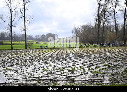 Kortrijk, Belgien. Februar 2024. Die Gruppe von Fahrern, die während des eintägigen Radrennens Kuurne-Brüssel-Kuurne, 196, 4 km von Kuurne über Brüssel nach Kuurne, Sonntag, den 25. Februar 2024, in Aktion genommen wurden. BELGA FOTO JASPER JACOBS Credit: Belga News Agency/Alamy Live News Stockfoto