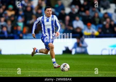 Hillsborough Stadium, Sheffield, England - 24. Februar 2024 Ian Poveda (36) von Sheffield Wednesday läuft mit dem Ball - während des Spiels Sheffield Wednesday gegen Bristol City, EFL Championship, 2023/24, Hillsborough Stadium, Sheffield, England - 24. Februar 2024 Credit: Arthur Haigh/WhiteRosePhotos/Alamy Live News Stockfoto