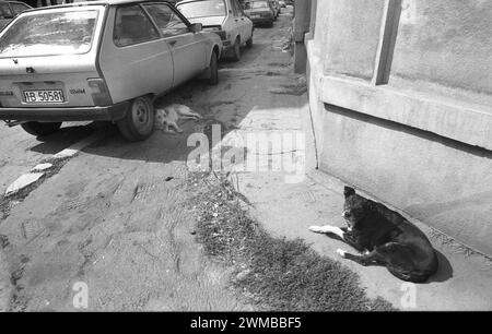 Bukarest, Rumänien, ca. 1992. Ein häufiger Anblick in der Hauptstadt: Auf den Gehwegen geparkte Fahrzeuge und streunende Hunde, beides Resultat des fehlerhaften Systematisierungsprojekts des kommunistischen Präsidenten N. Ceausescu. Stockfoto