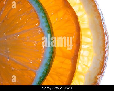 Bunte Zitrusfrüchte-Scheiben auf weißem Hintergrund, Draufsicht. Stockfoto