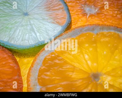 Tropische Zitrusfrüchte - Orangen, Mandarinen, Zitronen und Limetten, Blick von oben, Nahaufnahme. Stockfoto