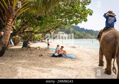 Koh Chang, Thailand. Februar 2024. Ein paar Touristen werden überrascht gesehen, wie ein Mahout und sein Elefant an den Strand auf Koh Chang Island kommen. Touristen werden sich zunehmend des möglichen Leidens bewusst, das durch Zirkusvorführungen und Reiten von Elefanten verursacht wird. Daher entscheiden sie sich für sanftere Interaktionen wie Baden und Selfies mit Elefanten. Dieser Wandel hat in den letzten fünf Jahren zu einem deutlichen Anstieg der Popularität von Elefantenwaschanlagen in Thailand geführt, wobei sich die Zahl mehr als verdreifacht hat. Quelle: SOPA Images Limited/Alamy Live News Stockfoto