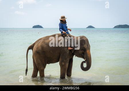 Koh Chang, Thailand. Februar 2024. Ein Mahout und sein Elefant werden zu Beginn eines Elefantenbades auf Koh Chang Island im Meer gesehen. Touristen werden sich zunehmend des möglichen Leidens bewusst, das durch Zirkusvorführungen und Reiten von Elefanten verursacht wird. Daher entscheiden sie sich für sanftere Interaktionen wie Baden und Selfies mit Elefanten. Dieser Wandel hat in den letzten fünf Jahren zu einem deutlichen Anstieg der Popularität von Elefantenwaschanlagen in Thailand geführt, wobei sich die Zahl mehr als verdreifacht hat. Quelle: SOPA Images Limited/Alamy Live News Stockfoto