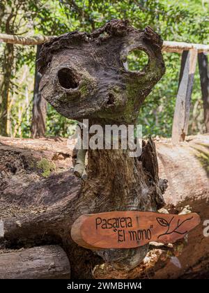 Holzskulptur auf einem großen toten Baum, Halt für Kinder, am Weg zum herzförmigen See Laguna Corazon, in der Nähe von Liquine, Chile Stockfoto