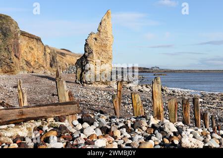 Magnesian Kalkstein Seestapel und wetterabgenutzt Timber Groynes am Seaham Chemical Beach, Durham Heritage Coast, Seaham, County Durham, Großbritannien Stockfoto