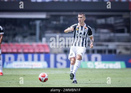 Sao Paulo, Brasilien. Februar 2024. SP - SAO PAULO - 02/25/2024 - PAULISTA 2024, SANTOS (Foto: Abner Dourado/AGIF/SIPA USA) Credit: SIPA USA/Alamy Live News Stockfoto