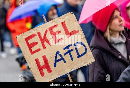 Hamburg, Deutschland. Februar 2024. Ein Teilnehmer der Demonstration gegen die rechte Seite hält ein Poster mit der Aufschrift „EKELHAfD“ hoch. Die Demonstration durch eine breite Allianz findet unter dem Motto „Wir sind die Firewall“ statt. Quelle: Axel Heimken/dpa/Alamy Live News Stockfoto