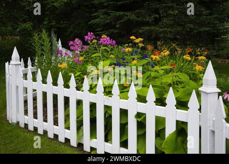 Gelber Helianthus - Sonnenblumen, orange Hemerocallis - Taglilien, lila Phlox Blumen hinter weißem hölzernen Pflaumenzaun im Vorgarten im Sommer. Stockfoto