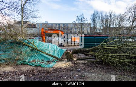 Hamburg, Deutschland. Februar 2024. Am Brammer Platz in der Nähe der Sternbrücke im Stadtteil Altona liegen gefällte Bäume. Erneut wurden Proteste gegen die Holzfällarbeiten an diesem Standort ausgesprochen. Quelle: Axel Heimken/dpa/Alamy Live News Stockfoto