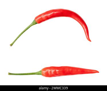 Die Draufsicht und die flache Lage der frisch gekrümmten roten Chilischoten im Set ist isoliert auf weißem Hintergrund mit Schnittpfad. Stockfoto