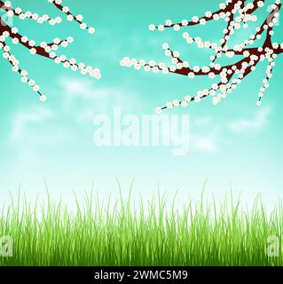 Die Zweige der Kirschblüten, Stilisierung. Frühlingstag, Gras und Himmel mit leichten Wolken. Natur Frühling Hintergrund. Sommer. Stockfoto
