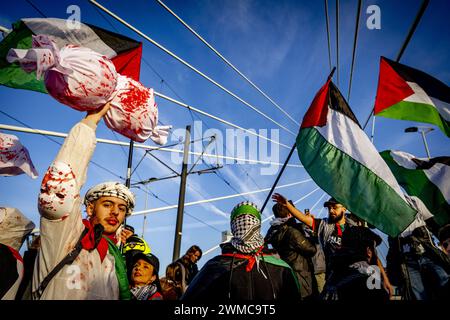 ROTTERDAM - Teilnehmer der Manifestation Hände weg Rafah nehmen an einer Protestprozession durch das Stadtzentrum Teil. Die Demonstration ist gegen Israels Aktionen im Gazastreifen. ANP ROBIN UTRECHT niederlande raus - belgien raus Stockfoto