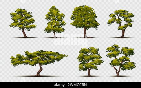 Eiche. Apfelgrünes Laub, Mango- und Olivenwaldlandschaft, Feigenzweig und Blätter Silhouette, Ahorngarten. Sommerpark, natürliche Botanik. Vektor-Zeichentrickhölzer isoliert auf transparentem Hintergrund Stock Vektor