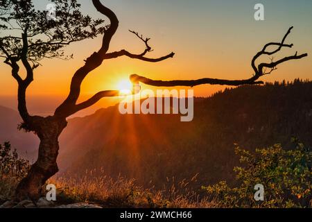 Frühsommer-Morgen im Creux du Van im Neuchâtel Jura der Schweiz Stockfoto