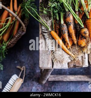 Blick von oben auf frisch gepflückte Karotten auf einem Holzhocker Stockfoto