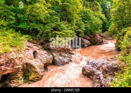 Landschaft des Flusses, der entlang der Bergschlucht fließt Stockfoto