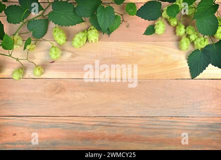 Junge Äste von Hopfenzapfen und Blättern auf Holzdielen Hintergrund. Konzept: Brühen. Inhaltsstoffe. Kräuter. Stockfoto