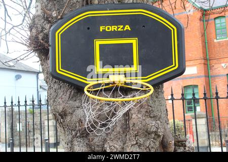 Dublin, Irland - 24. Februar 2024: Foto eines kleinen gelben Basketballrings an einem Baum. Stockfoto